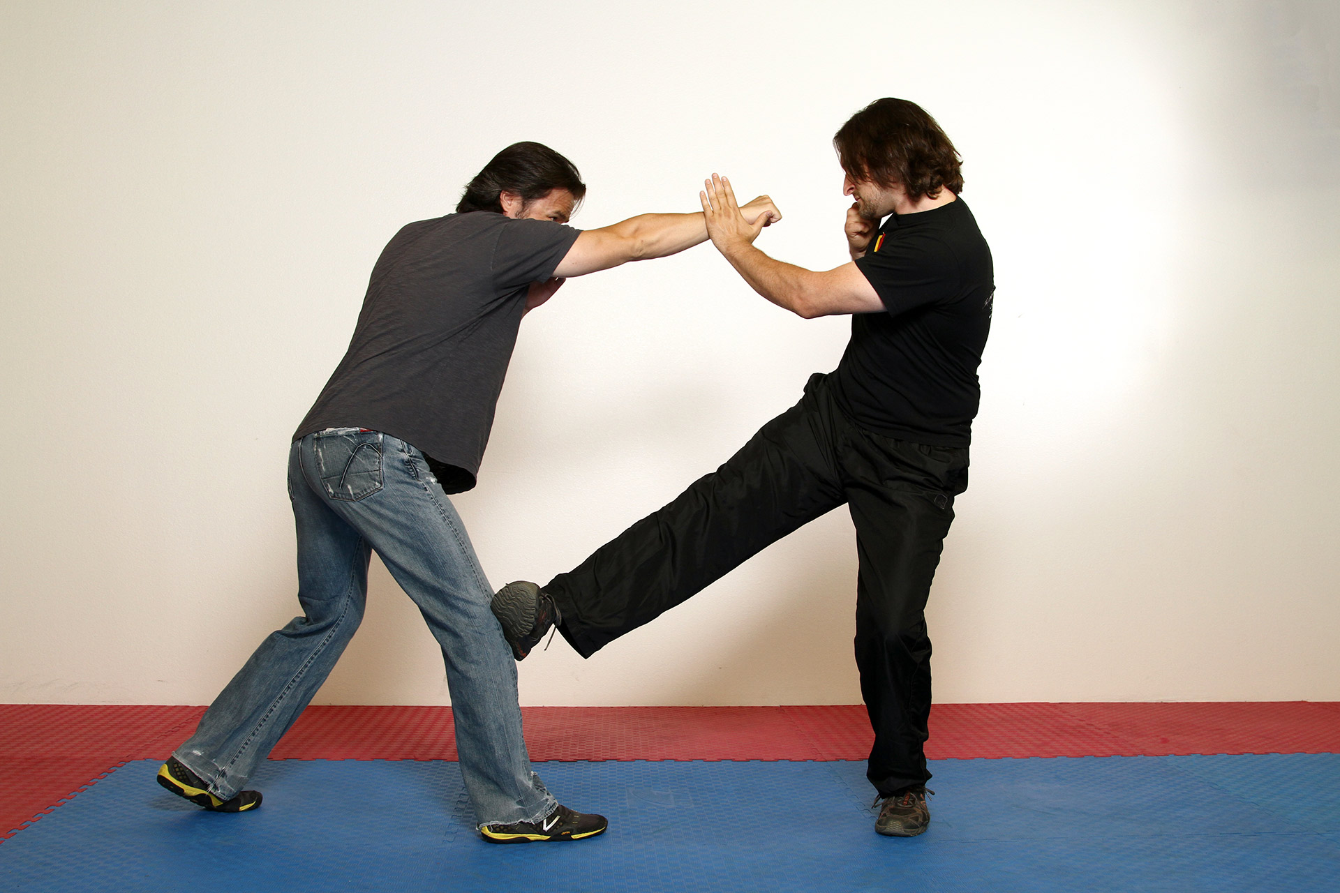 jeet-kune-do-leg-obstruction-article-by-tim-tackett